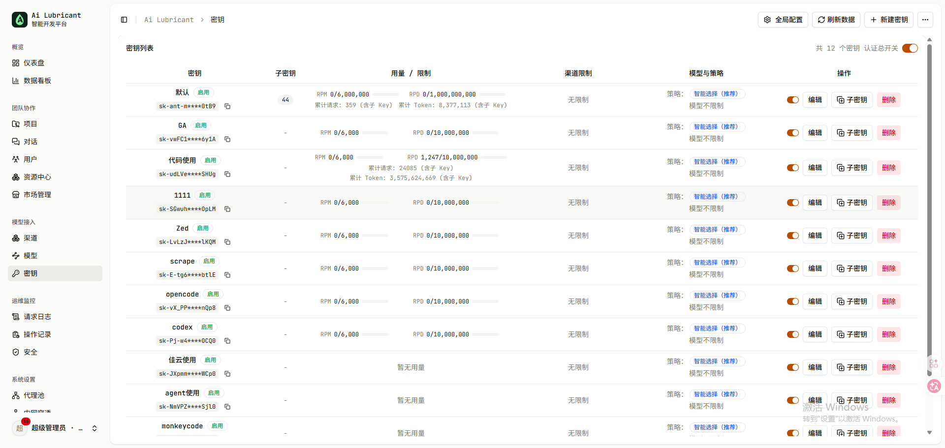 API Key 权限与额度管理